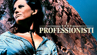 I professionisti (1966)