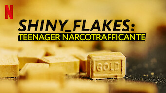 Shiny_Flakes: teenager narcotrafficante (2021)