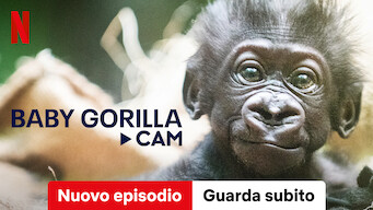 Baby Gorilla Cam (2023)